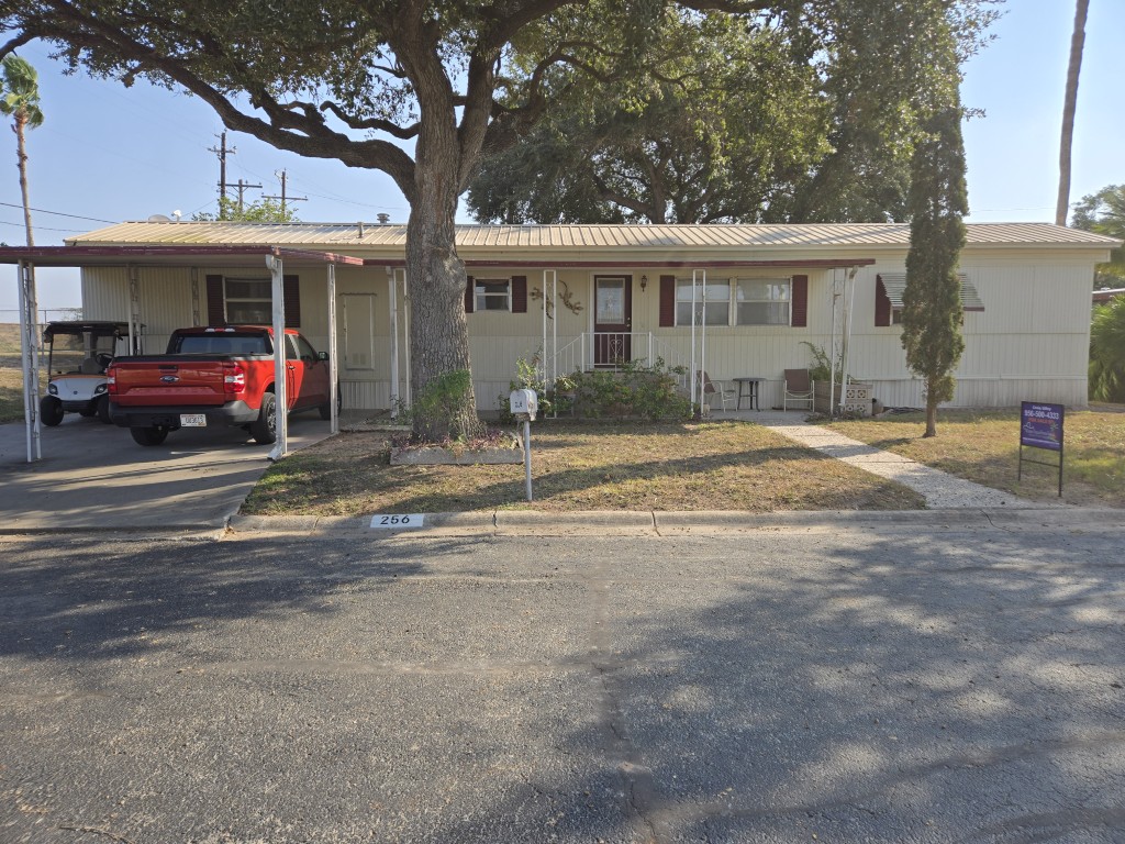 256 Irapuato Pics (1)