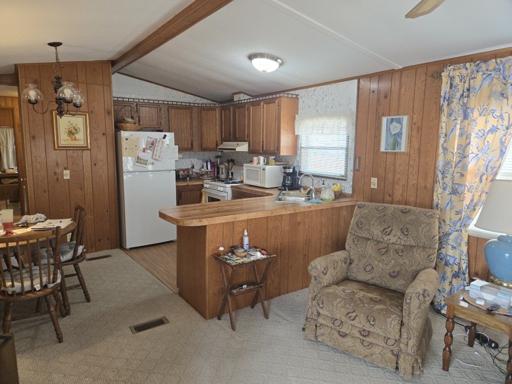 #4 Denver Tropic Star Pics (5)