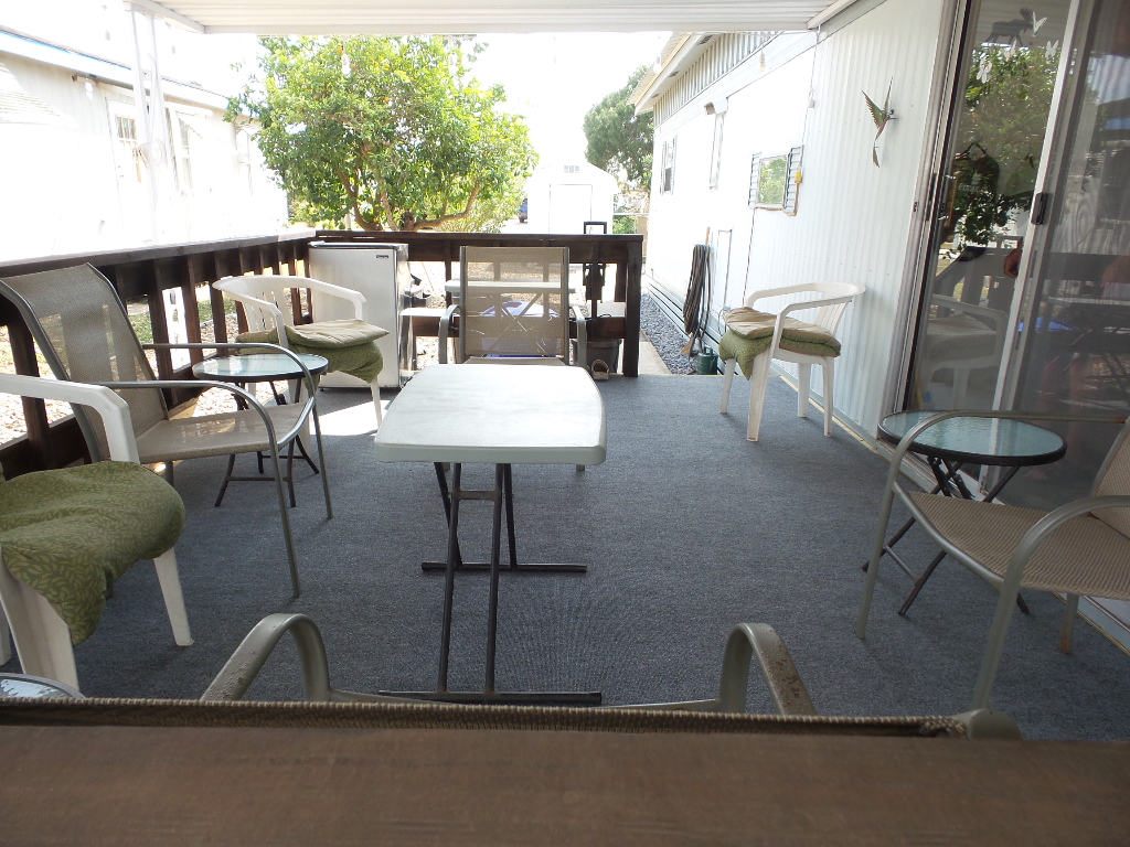 TE 436 Tampico pics (4)