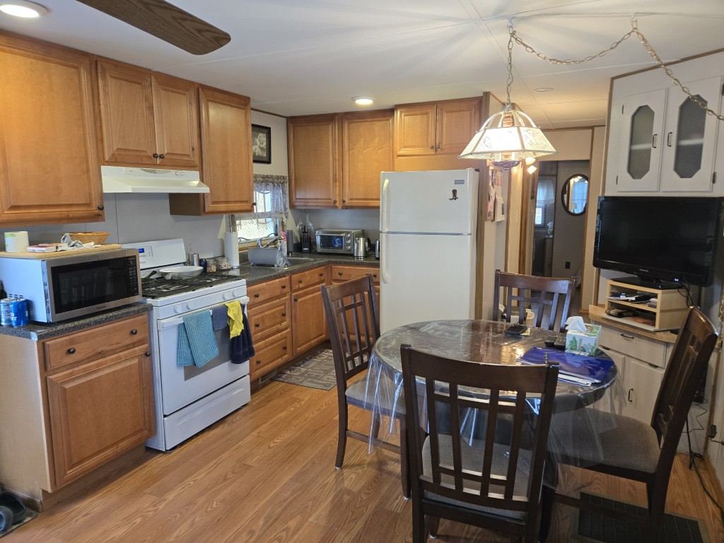 Pics for 2022 Sunshine (6)